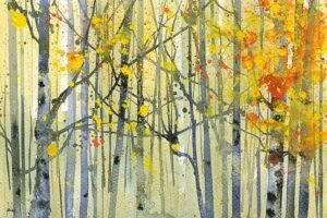 BAILEY - Autumn Birches