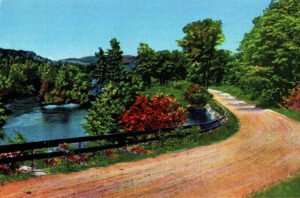 Greetings from Montrose NY