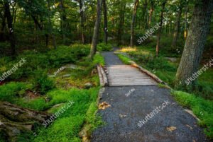 Views on and from the Bear Mountain, New York