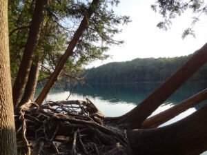 Leaners at Green Lakes State Park - Fayetteville, NY