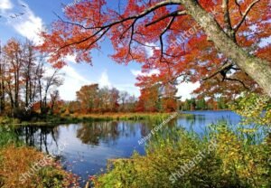 Fall Foliage Pocono Mountains Pennsylvania